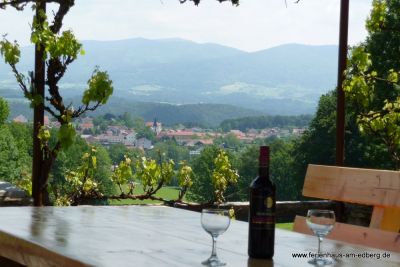 Berghütte mit Aussicht in den Bayerischen Wald
