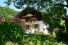 Sommer, Sonne, Natur, ....